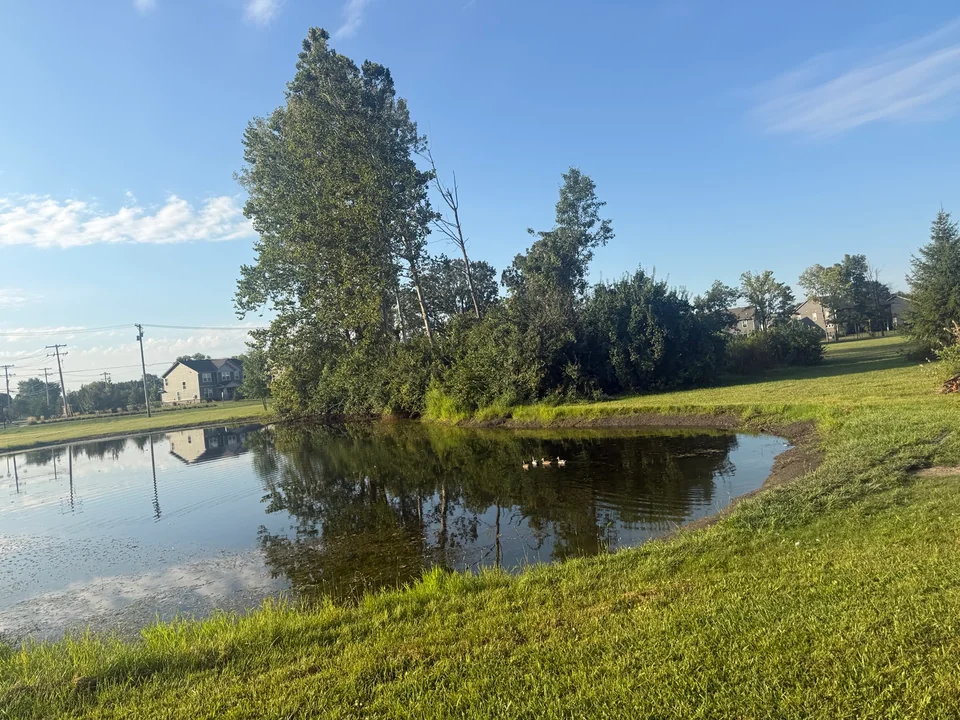 Pond clearing and forestry mulching project in Brownsburg Indiana